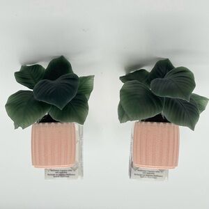 New 2 Bath & Body Works Plant in Pink Pot Wallflowers Plug-In Fragrance Diffuser